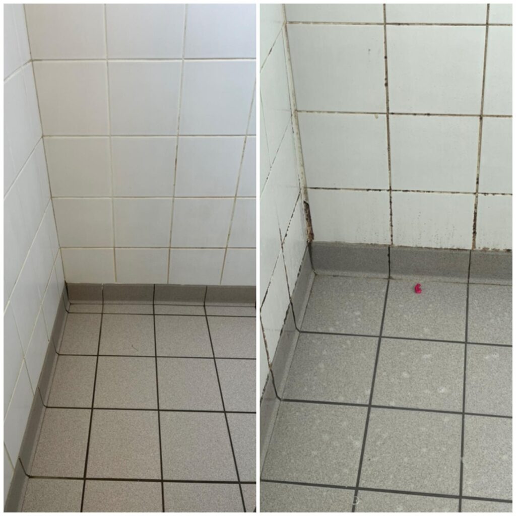 Nettoyage sanitaire avant/apres en Vendée